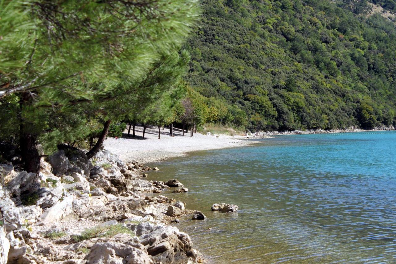 Family Friendly Apartments With A Swimming Pool Cepic, Central Istria - Sredisnja Istra - 11636 Zatka Cepic Zewnętrze zdjęcie